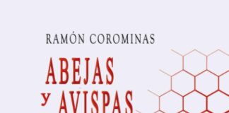 abejas y avispas