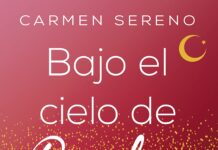 bajo el cielo de berlin