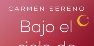 bajo el cielo de berlin