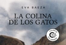 LA COLINA DE LOS GATOS la colina de los gatos
