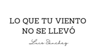 LO QUE TU VIENTO NO SE LLEVÓ