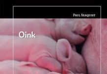 Oink oink