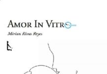 Amor in vitro amor in vitro