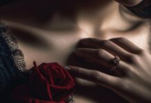 El amor es una rosa que huele a sangre el amor es una rosa que huele a sangre