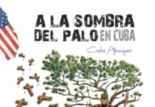 A la sombra del Palo en Cuba a la sombra del palo en cuba