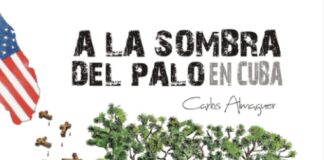a la sombra del palo en cuba