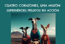Cuatro corazones, una misión: superhéroes peludos en acción cuatro corazones