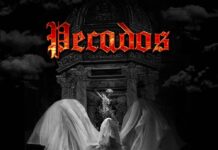 Pecados pecados