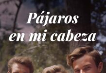Pájaros en mi cabeza pájaros en mi cabeza