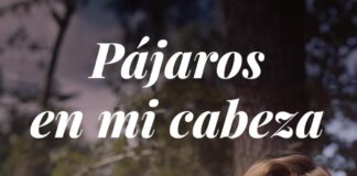 pájaros en mi cabeza