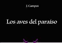 Las aventuras de Medina – Los aves del paraíso las aventuras de medina