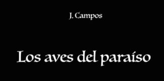 las aventuras de medina