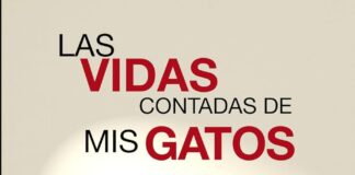 las vidas contadas de mis gatos