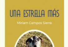 Una estrella más una estrella más