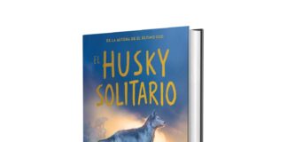 El husky solitario