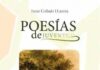 Poesías de Juventud, de Irene Collado